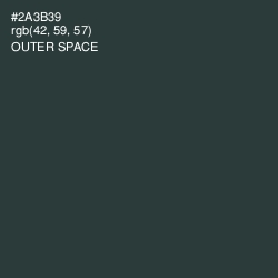 #2A3B39 - Outer Space Color Image